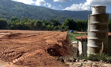 Land for sale in Nang Lae, Chiang Rai