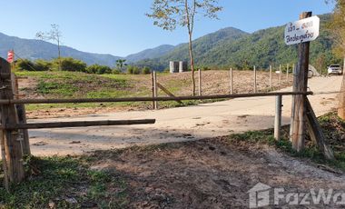 Land for sale in Nang Lae, Chiang Rai