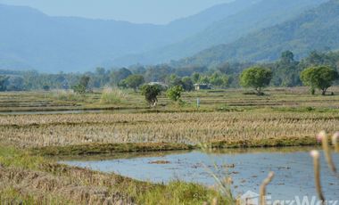 Land for sale in Nang Lae, Chiang Rai