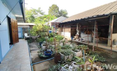 10 Bedroom Townhouse for sale in , Chiang Rai