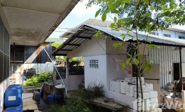10 Bedroom Townhouse for sale in , Chiang Rai