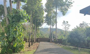 5 Bedroom House for sale in Hin Tang, Nakhon Nayok