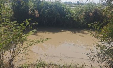 Land for sale in Than Tawan, Chiang Rai