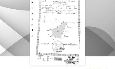 Land for sale in Ngio, Chiang Rai