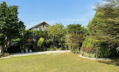 3 Bedroom House for sale in Huai Sak, Chiang Rai