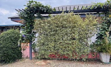 3 Bedroom House for sale in Huai Sak, Chiang Rai