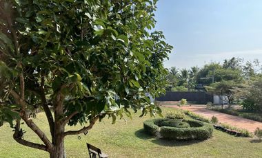 3 Bedroom House for sale in Huai Sak, Chiang Rai