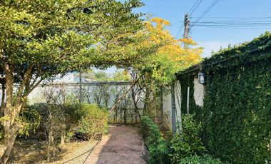 3 Bedroom House for sale in Huai Sak, Chiang Rai