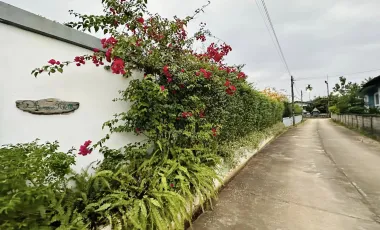3 Bedroom House for sale in Huai Sak, Chiang Rai