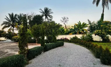 4 Bedroom House for sale in Huai Sak, Chiang Rai