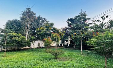 4 Bedroom House for sale in Huai Sak, Chiang Rai