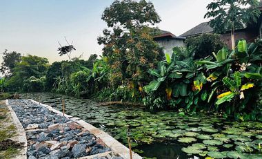 4 Bedroom House for sale in Huai Sak, Chiang Rai