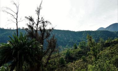 Parcela en Venta en La Isla - La Vega, Cuesta La Dormida - Olmué