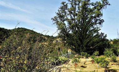 Parcela en Venta en La Isla - La Vega, Cuesta La Dormida - Olmué