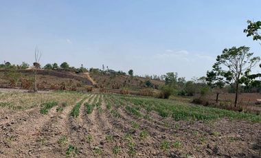 Land for sale in Dong Mahawan, Chiang Rai