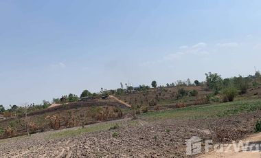 Land for sale in Dong Mahawan, Chiang Rai