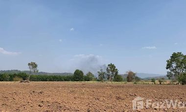 Land for sale in Dong Mahawan, Chiang Rai