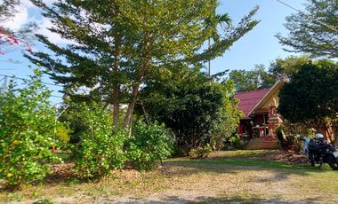 3 Bedroom Villa for sale in San Sai, Chiang Rai