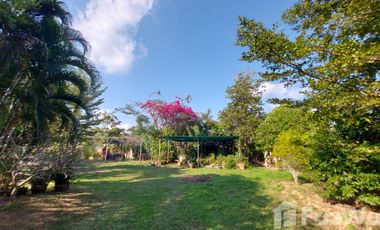 3 Bedroom Villa for sale in San Sai, Chiang Rai