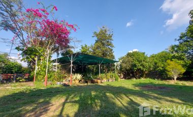3 Bedroom Villa for sale in San Sai, Chiang Rai