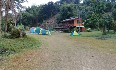 Land for sale in Mae Ngoen, Chiang Rai