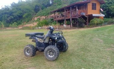Land for sale in Mae Ngoen, Chiang Rai