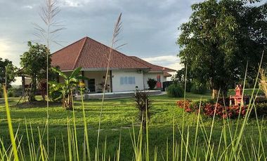 3 Bedroom Villa for sale in Ngio, Chiang Rai