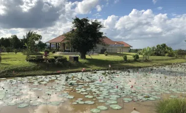 3 Bedroom Villa for sale in Ngio, Chiang Rai