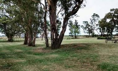 Casa en Venta en Ranqueles, General Roca, Córdoba, Argentina