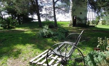Casa en Venta en Tornquist, Tornquist, Resto de la Provincia, Buenos Aires, Argentina