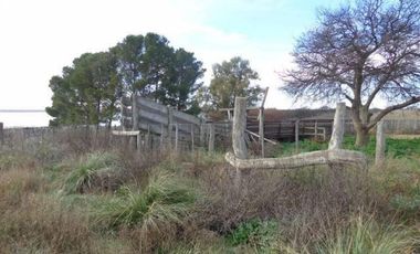 Casa en Alquiler en Gral. Manuel Campos, Guatrache, La Pampa, Argentina