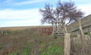 Casa en Alquiler en Gral. Manuel Campos, Guatrache, La Pampa, Argentina