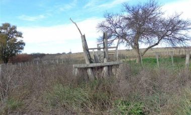 Casa en Alquiler en Gral. Manuel Campos, Guatrache, La Pampa, Argentina