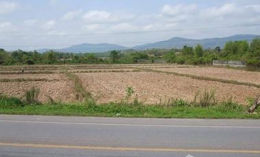 Land for sale in Huai Sak, Chiang Rai