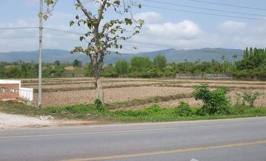 Land for sale in Huai Sak, Chiang Rai