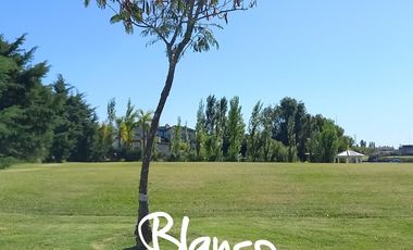 Terreno en Venta en San Marco, Villanueva, Tigre, G.B.A. Zona Norte, Argentina