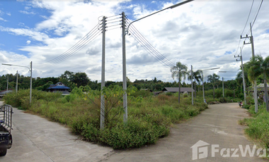 Land for sale in Rim Kok, Chiang Rai