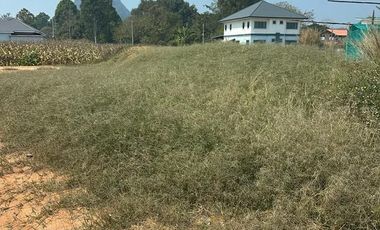 Land for sale in Rim Kok, Chiang Rai