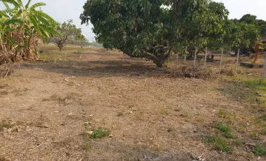 Land for sale in Huai Sak, Chiang Rai
