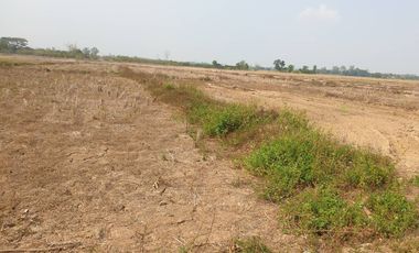 Land for sale in Huai Sak, Chiang Rai