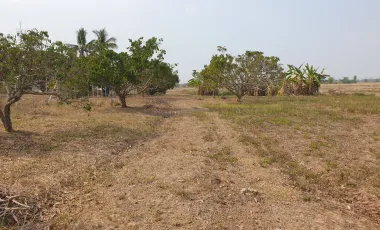 Land for sale in Huai Sak, Chiang Rai