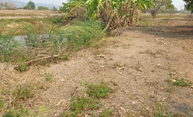 Land for sale in Huai Sak, Chiang Rai