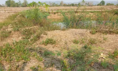 Land for sale in Huai Sak, Chiang Rai