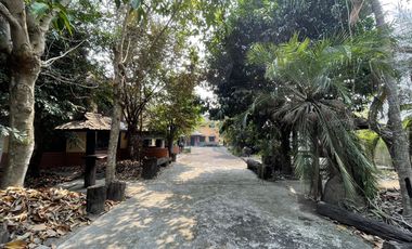 3 Bedroom House for sale in Rop Wiang, Chiang Rai