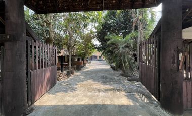 3 Bedroom House for sale in Rop Wiang, Chiang Rai