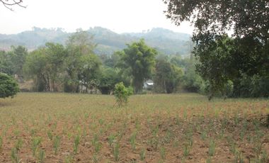 Land for sale in Mae Yao, Chiang Rai
