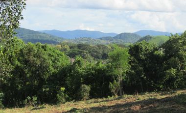 Land for sale in Mae Yao, Chiang Rai
