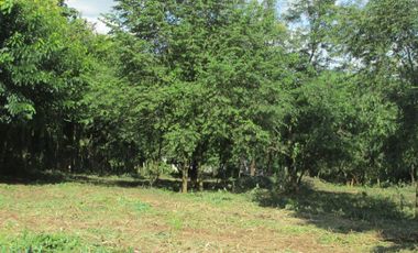 Land for sale in Mae Yao, Chiang Rai