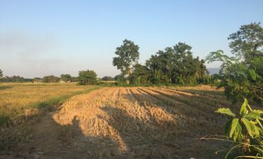 Land for sale in Doi Ngam, Chiang Rai
