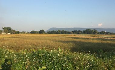 Land for sale in Doi Ngam, Chiang Rai